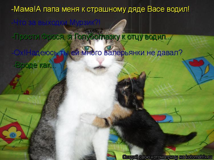 Котоматрица: -Мама!А папа меня к страшному дяде Васе водил! -Что за выходки Мурзик?! -Прости Фрося, я Голубоглазку к отцу водил... -Ох!Надеюсь ты ей много вал