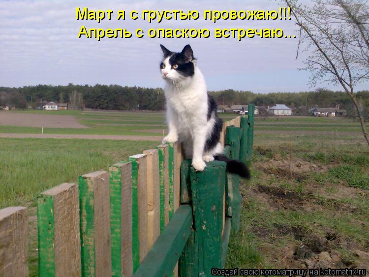 Котоматрица: Март я с грустью провожаю!!! Апрель с опаскою встречаю...
