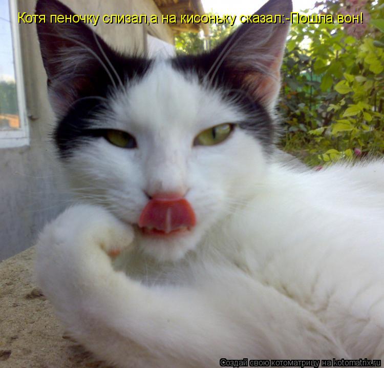 Котоматрица: Котя пеночку слизал,а на кисоньку сказал:-Пошла вон!