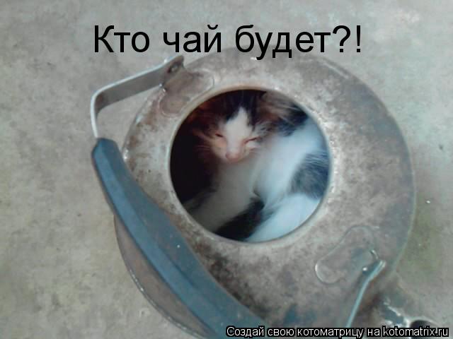 Котоматрица: Кто чай будет?!
