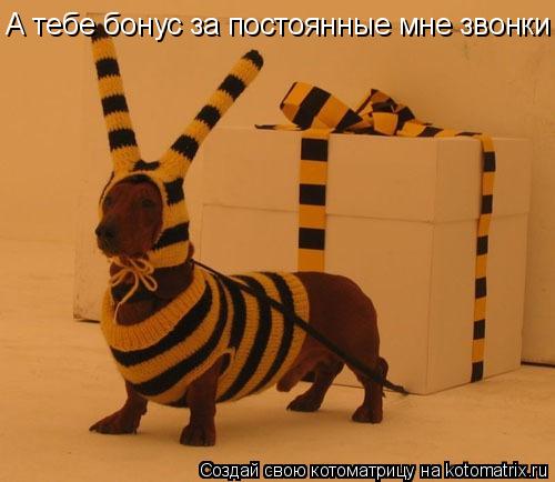 Котоматрица: А тебе бонус за постоянные мне звонки