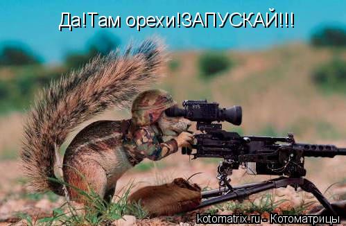 Котоматрица: Да!Там орехи!ЗАПУСКАЙ!!!