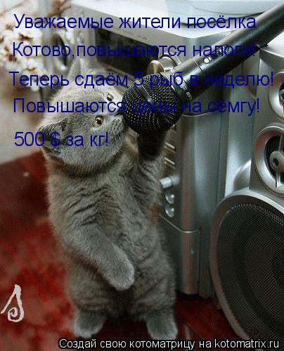 Котоматрица: Уважаемые жители посёлка Котово,повышаются налоги! Теперь сдаём 5 рыб в неделю! Повышаются цены на сёмгу! 500 $ за кг!
