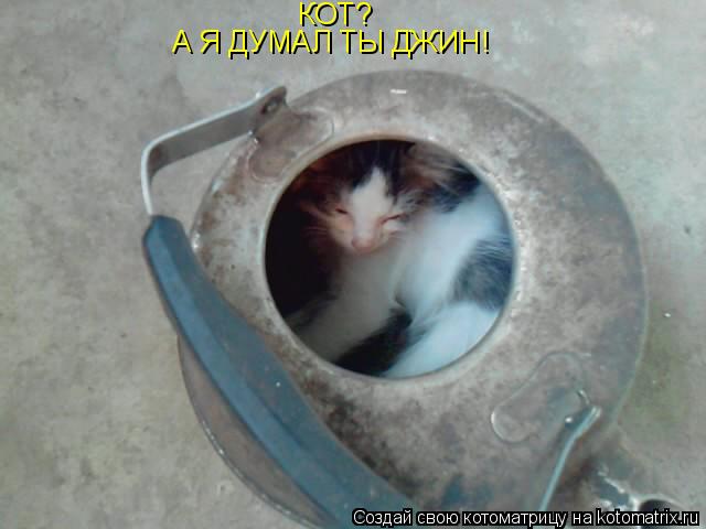 Котоматрица: КОТ? А Я ДУМАЛ ТЫ ДЖИН!