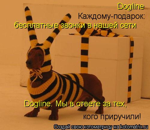 Котоматрица: Dogline Каждому-подарок: бесплатные звонки в нашей сети Dogline. Мы в ответе за тех,  кого приручили!