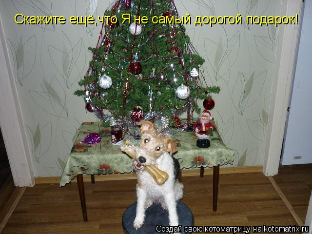 Котоматрица: Скажите ещё,что Я не самый дорогой подарок!