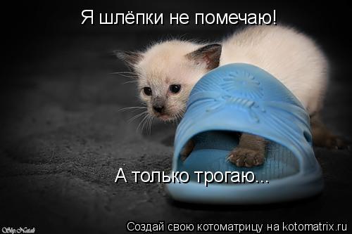 Котоматрица: Я шлёпки не помечаю! А только трогаю...