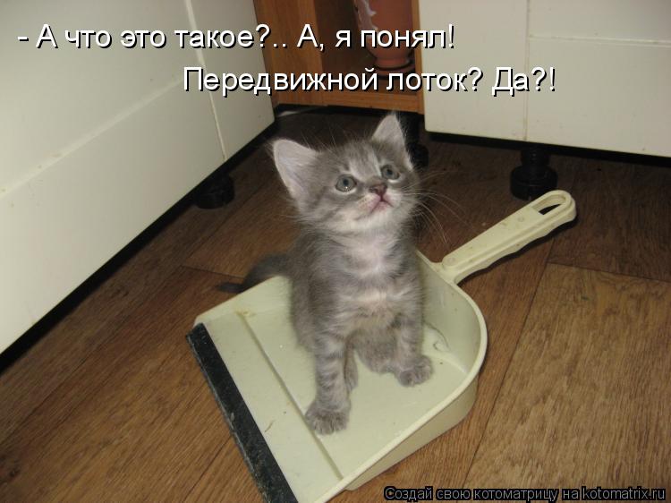 Котоматрица: - А что это такое?.. А, я понял! Передвижной лоток? Да?!