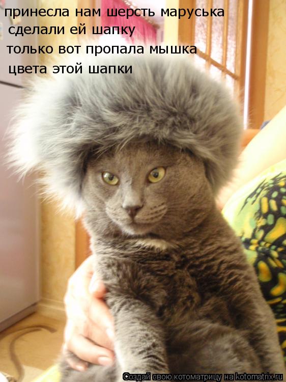 Котоматрица: принесла нам шерсть маруська сделали ей шапку только вот пропала мышка цвета этой шапки