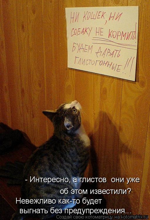 Котоматрица: - Интересно, а глистов  они уже  об этом известили? Невежливо как-то будет  выгнать без предупреждения...