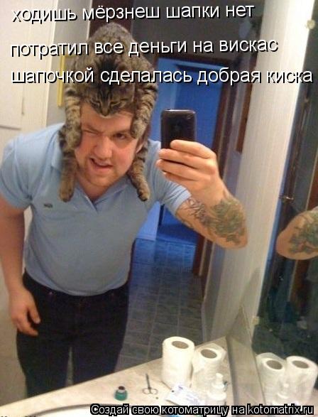 Котоматрица: потратил все деньги на вискас ходишь мёрзнеш шапки нет шапочкой сделалась добрая киска