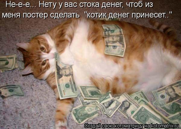 Котоматрица: Не-е-е... Нету у вас стока денег, чтоб из меня постер сделать  "котик денег принесет.."