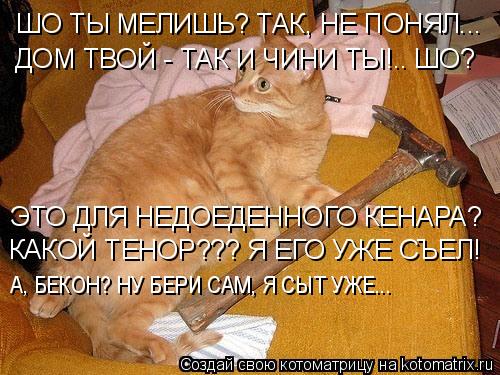 Котоматрица: ШО ТЫ МЕЛИШЬ? ТАК, НЕ ПОНЯЛ... ДОМ ТВОЙ - ТАК И ЧИНИ ТЫ!.. ШО? ЭТО ДЛЯ НЕДОЕДЕННОГО КЕНАРА? КАКОЙ ТЕНОР??? Я ЕГО УЖЕ СЪЕЛ! А, БЕКОН? НУ БЕРИ САМ, Я СЫ
