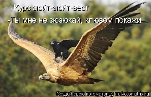 Котоматрица: -Курс зюйт-зюйт-вест -Ты мне не зюзюкай, клювом покажи
