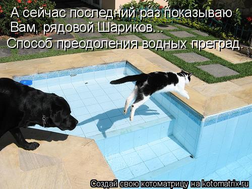 Котоматрица: А сейчас последний раз показываю Вам, рядовой Шариков... Способ преодоления водных преград.