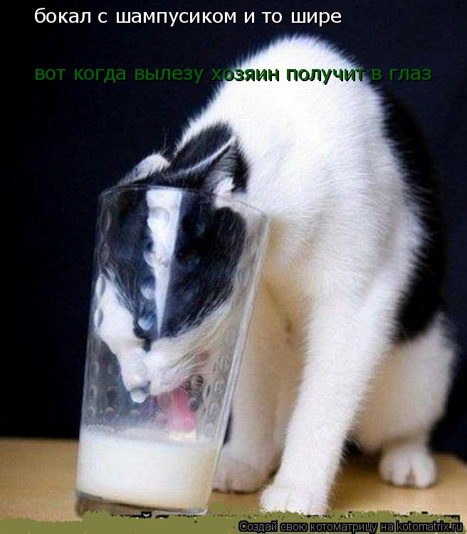 бокал с шампусиком и то шире вот когда вылезу хозяин получит в глаз... Котоматрица: бокал с шампусиком и то шире вот когда вылезу хозяин получит в глаз