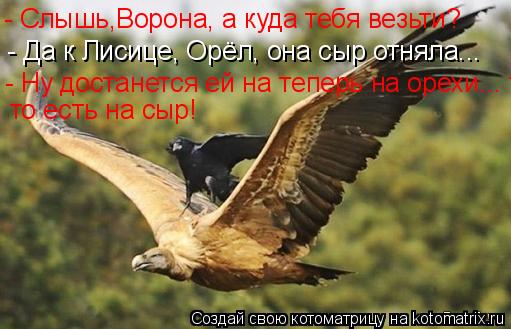 Котоматрица: - Слышь,Ворона, а куда тебя везьти? - Да к Лисице, Орёл, она сыр отняла... - Ну достанется ей на теперь на орехи... то есть на сыр! то есть на сыр!