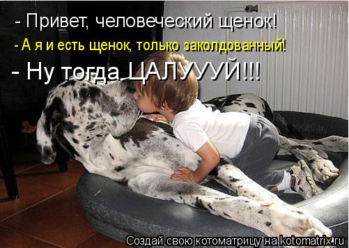 Котоматрица: - Привет, человеческий щенок! - А я и есть щенок, только заколдованный! - Ну тогда ЦАЛУУУЙ!!!