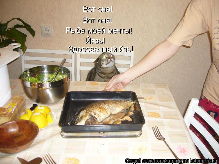 Котоматрица: Вот она! Вот она! Рыба моей мечты! Йязь! Здоровенный йзь!
