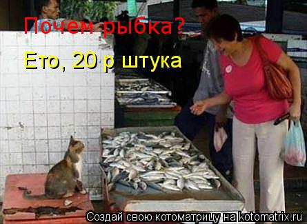 Котоматрица: Почем рыбка? Почем рыбка? Ето, 20 р штука