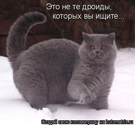 Котоматрица: Это не те дроиды, которых вы ищите...