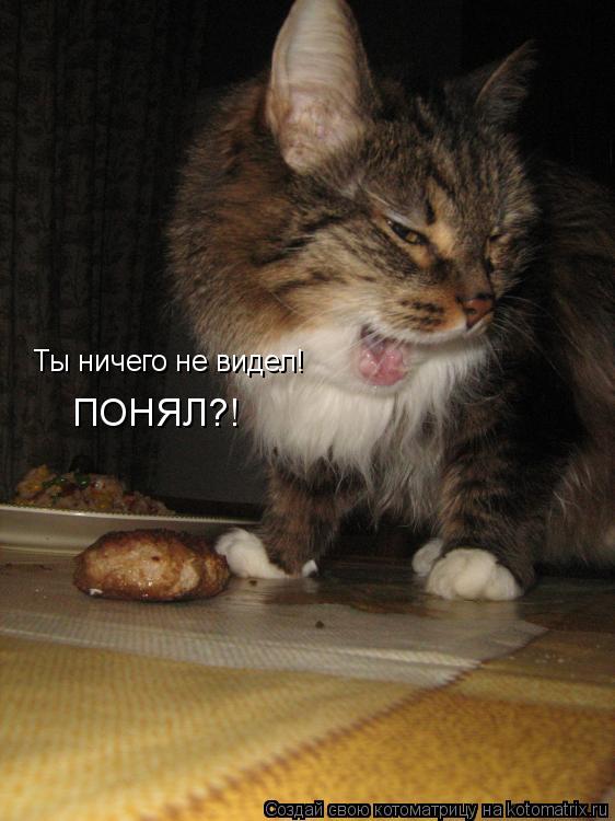 Ты ничего не видел! ПОНЯЛ?!... Котоматрица: Ты ничего не видел! ПОНЯЛ?!