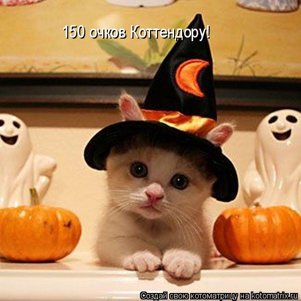 Котоматрица: 150 очков Коттендору!