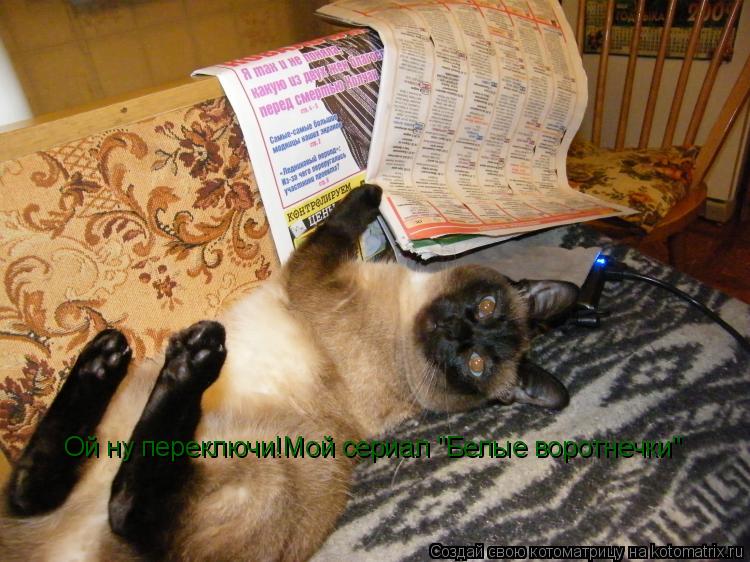 Котоматрица: Ой ну переключи!Мой сериал "Белые воротнечки"
