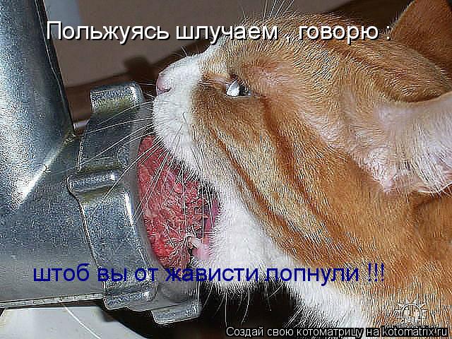 Котоматрица: Польжуясь шлучаем , говорю :  штоб вы от жависти лопнули !!!