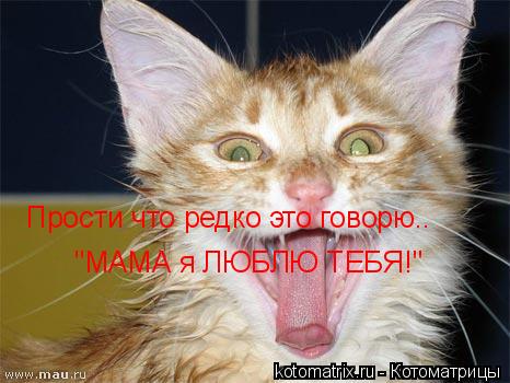 Котоматрица: Прости что редко это говорю.. "МАМА я ЛЮБЛЮ ТЕБЯ!"