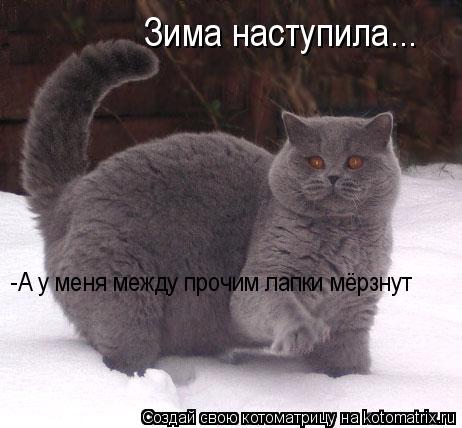 Котоматрица: Зима наступила... -А у меня между прочим лапки мёрзнут