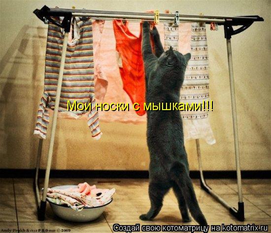 Котоматрица: Мои носки с мышками!!!