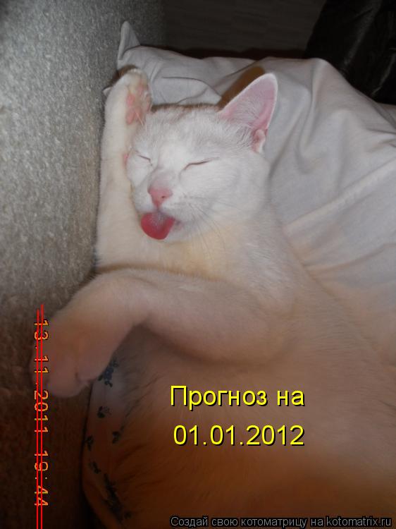 Котоматрица: _______________________ _______________________ 01.01.2012 Прогноз на