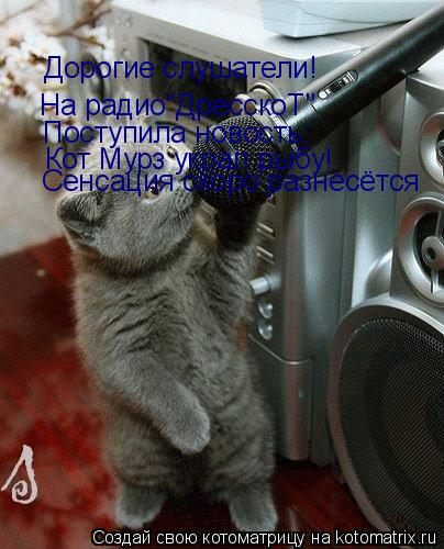 Котоматрица: Дорогие слушатели! На радио"ДресскоТ" Поступила новость: Кот Мурз украл рыбу! Сенсация скоро разнесётся