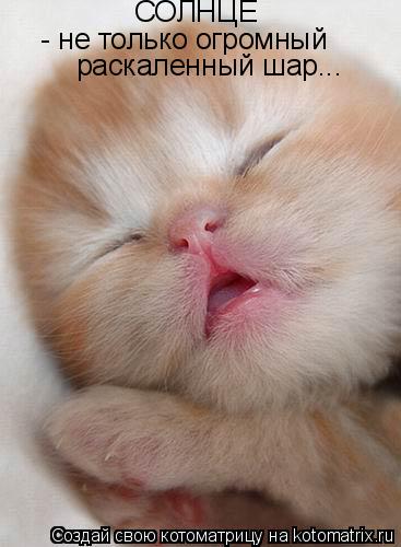 Котоматрица: СОЛНЦЕ - не только огромный  раскаленный шар...