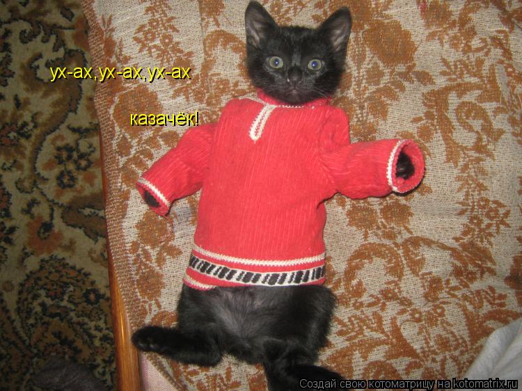Котоматрица: ух-ах,ух-ах,ух-ах казачёк!