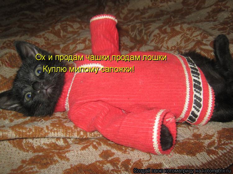 Котоматрица: Ох и продам чашки,продам лошки  Куплю милому сапожки!