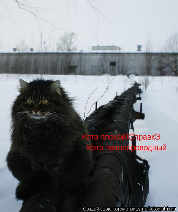 Котоматрица: Котэ плохой!СправкЭ Котэ теплопроводный