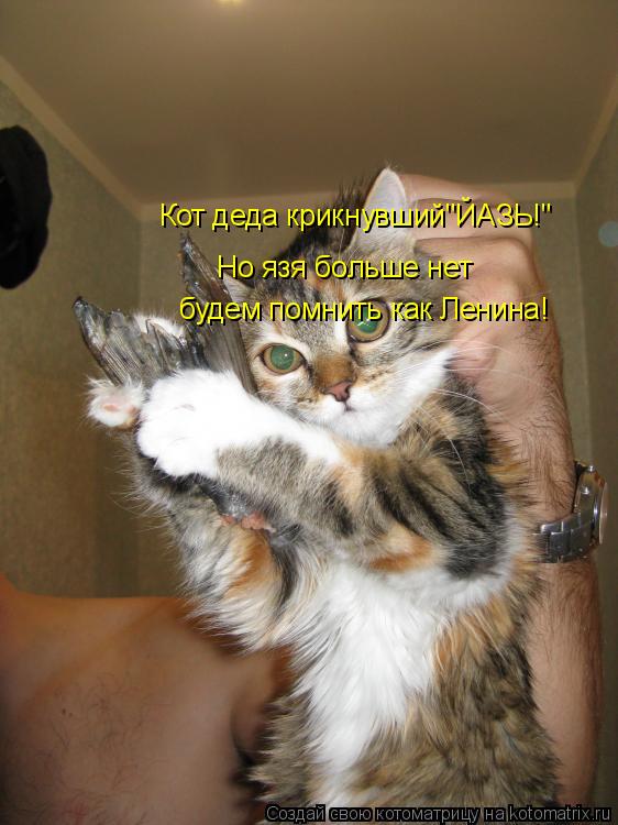 Котоматрица: Кот деда крикнувший"ЙАЗЬ!" Но язя больше нет будем помнить как Ленина!