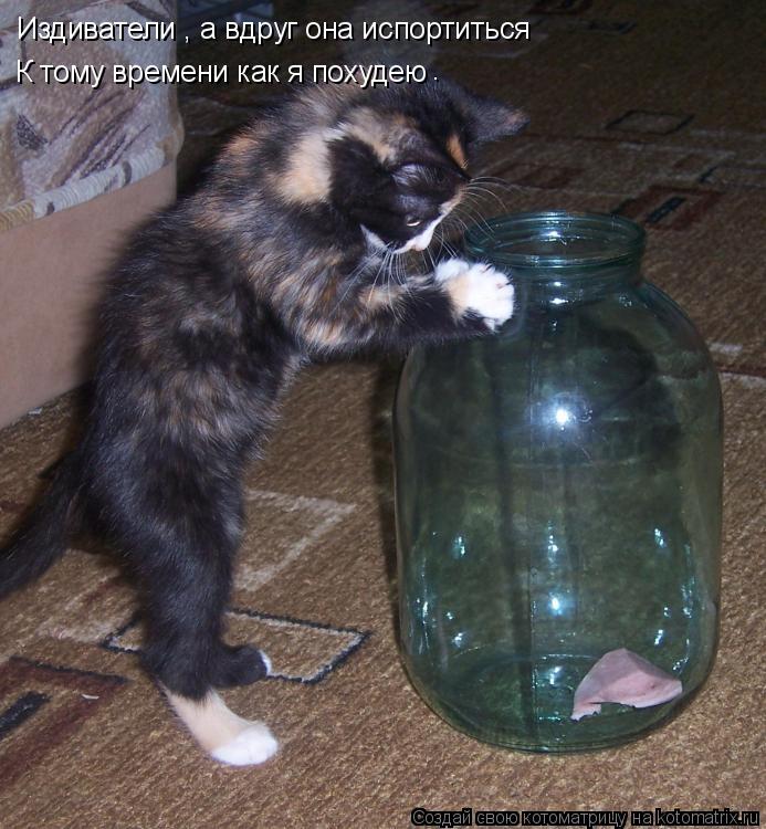 Котоматрица: Издиватели , а вдруг она испортиться  К тому времени как я похудею .