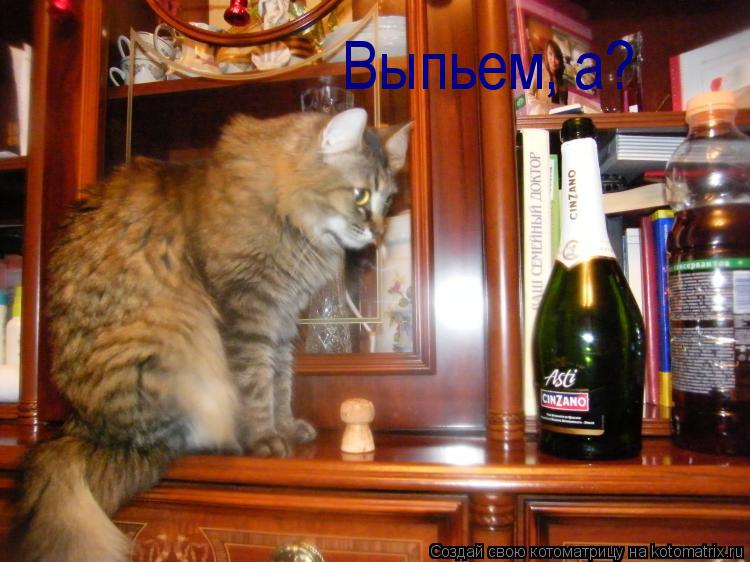 Котоматрица: Выпьем, а? Выпьем, а?