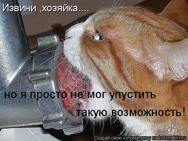 Извини ,хозяйка.... но я просто не мог упустить такую возможность!... Котоматрица: Извини ,хозяйка.... но я просто не мог упустить такую возможность!