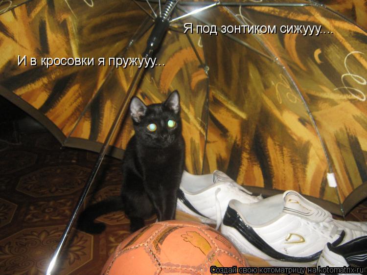 Котоматрица: Я под зонтиком сижууу.... И в кросовки я пружууу...