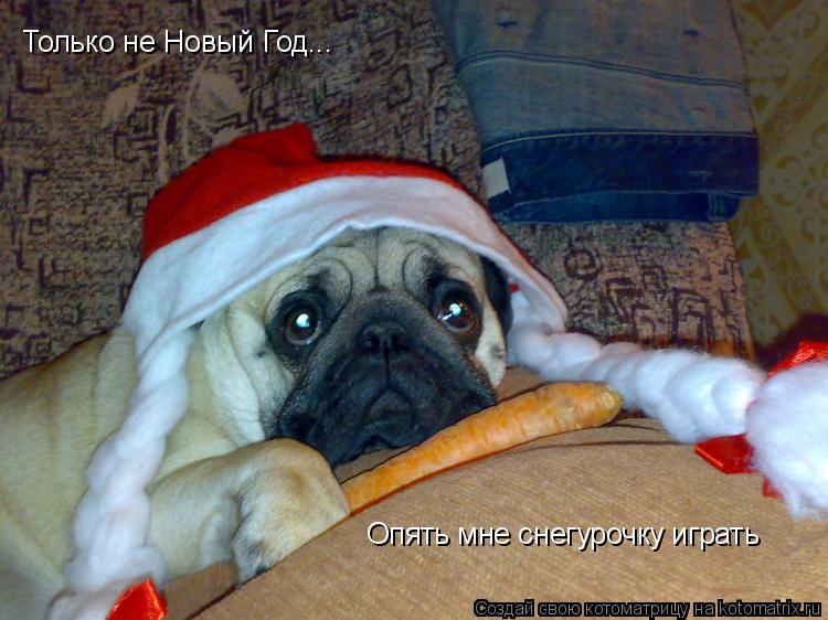 Котоматрица: Только не Новый Год... Только не Новый Год... Опять мне снегурочку играть