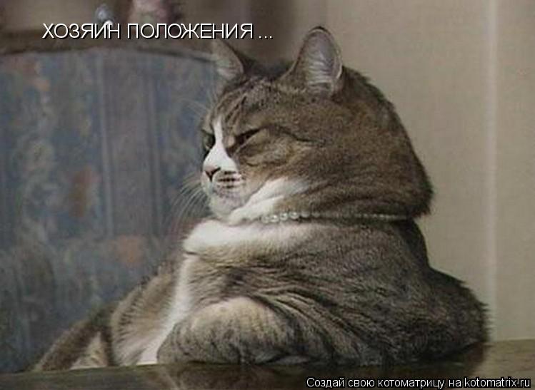 Котоматрица: ХОЗЯИН ПОЛОЖЕНИЯ ...