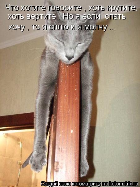 Котоматрица: Что хотите говорите , хоть крутите, хоть вертите . Но я если  спать хочу , то я сплю и я молчу ...