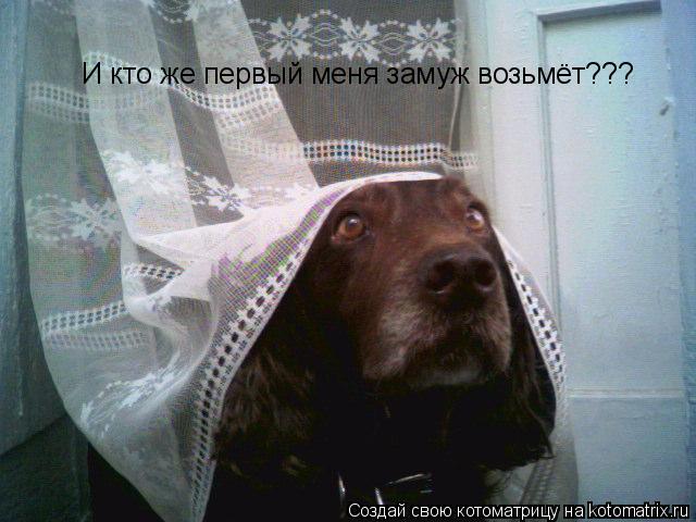 Котоматрица: И кто же первый меня замуж возьмёт???