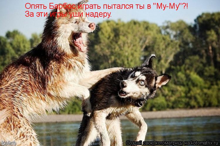 Котоматрица: Опять Барбос,играть пытался ты в "Му-Му"?! За эти игры уши надеру.