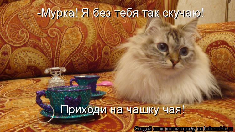 Котоматрица: -Мурка! Я без тебя так скучаю! Приходи на чашку чая!