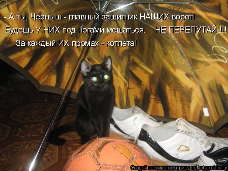 Котоматрица: - А ты, Черныш - главный защитник НАШИХ ворот! За каждый ИХ промах - котлета! НЕ ПЕРЕПУТАЙ !!! Будешь У НИХ под ногами мешаться.